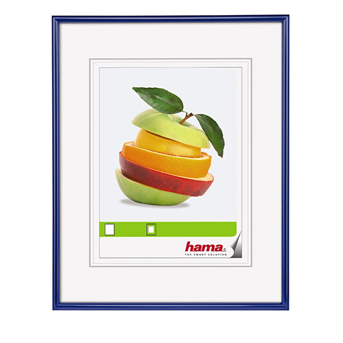 HAM66311